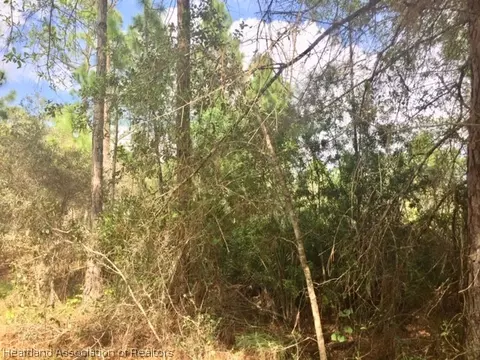 6517 Balsam Pl, Sebring, FL 33875 photo 5