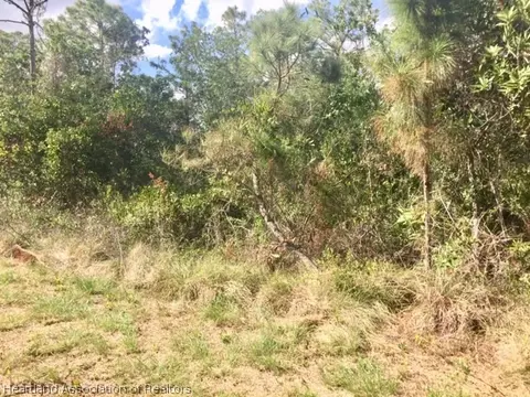 6517 Balsam Pl, Sebring, FL 33875 photo 7