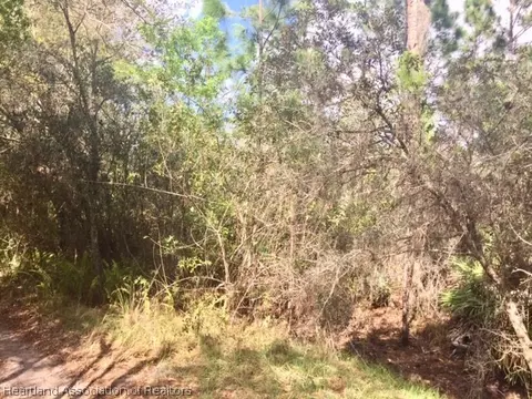 6517 Balsam Pl, Sebring, FL 33875 photo 6