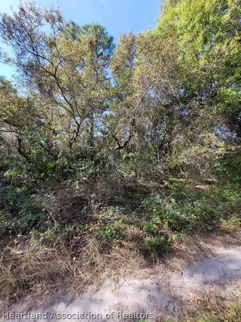 254 Caspian Tern Ave, Sebring, FL 33870 photo 4