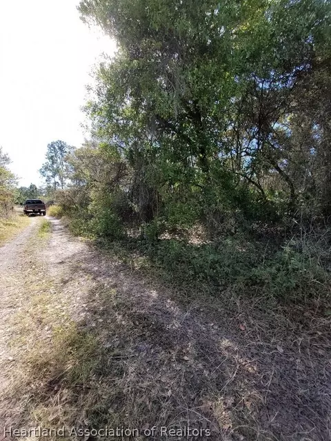 254 Caspian Tern Ave, Sebring, FL 33870 photo 3