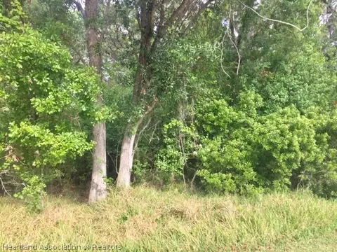 2125 Wolf Creek Rd, Sebring, FL 33875 photo 4