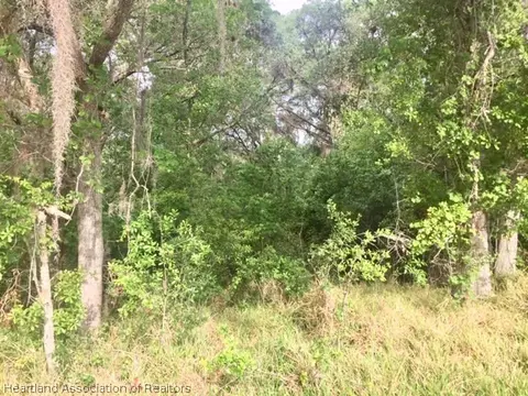 2125 Wolf Creek Rd, Sebring, FL 33875 photo 3