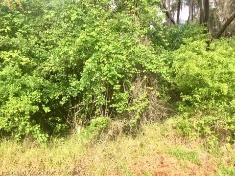 2125 Wolf Creek Rd, Sebring, FL 33875 photo 7
