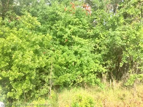 2125 Wolf Creek Rd, Sebring, FL 33875 photo 6