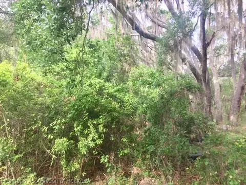 2125 Wolf Creek Rd, Sebring, FL 33875 photo 2