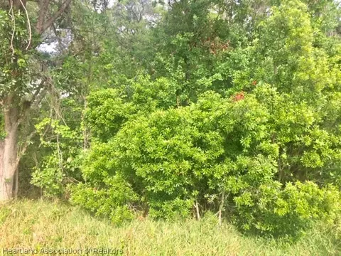 2125 Wolf Creek Rd, Sebring, FL 33875 photo 5