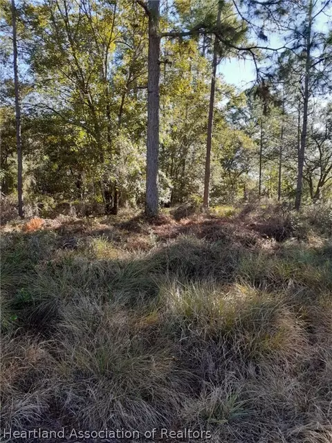 9740 9756 Soaring Pines Ct, Sebring, FL 33875 photo 4