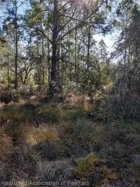 9740 9756 Soaring Pines Ct, Sebring, FL 33875 photo 1
