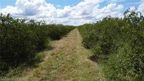 17500 Boney Rd, Sebring, FL 33870