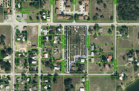 450 E Cornell St, Avon Park, FL 33825