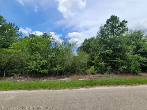 2501 Ute Ave, Lorida, FL 33857 photo 1