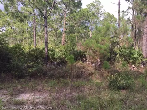 6142 Banyan Rd, Sebring, FL 33875 photo 6