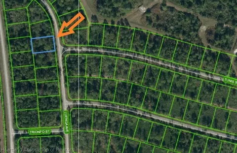 5225 Luenga Ave, Sebring, FL 33872 photo 1