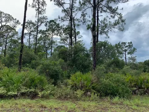 10141 Roundtree Dr, Sebring, FL 33875 photo 3