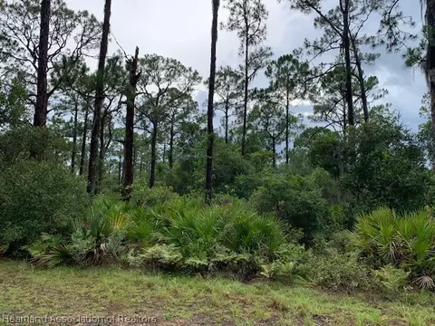 10141 Roundtree Dr, Sebring, FL 33875 photo 2