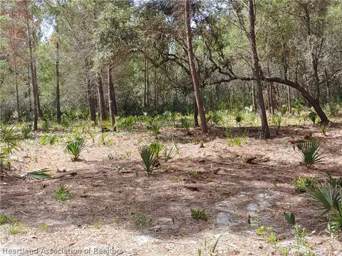 9110 Spur Path, Sebring, FL 33875 photo 2