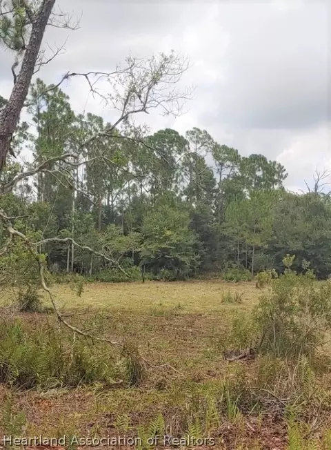 9110 Spur Path, Sebring, FL 33875 photo 11