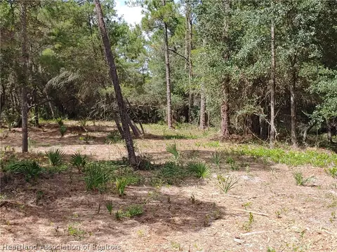 9110 Spur Path, Sebring, FL 33875 photo 9