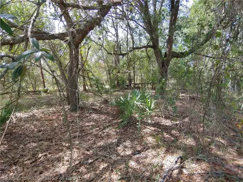 9110 Spur Path, Sebring, FL 33875 photo 6