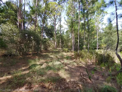 9110 Spur Path, Sebring, FL 33875 photo 7