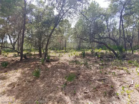 9110 Spur Path, Sebring, FL 33875 photo 1