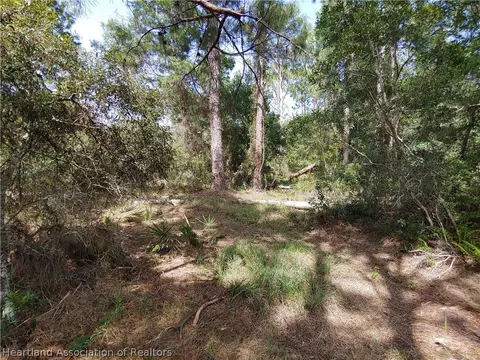 9110 Spur Path, Sebring, FL 33875 photo 8