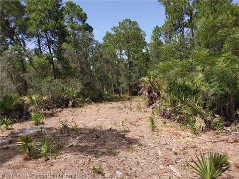 9110 Spur Path, Sebring, FL 33875 photo 5