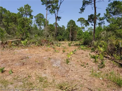 9110 Spur Path, Sebring, FL 33875 photo 3