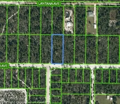 2120 Macintosh Ave, Sebring, FL 33875 photo 1