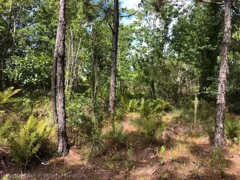 6431 E Venetian Dr, Sebring, FL 33875 photo 3