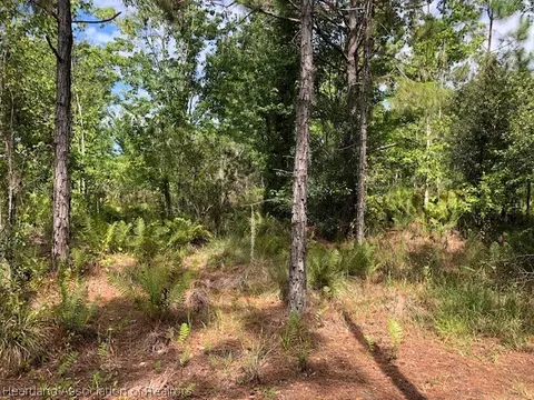 6437 E Venetian Dr, Sebring, FL 33875 photo 3