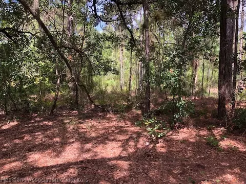 6437 E Venetian Dr, Sebring, FL 33875 photo 4