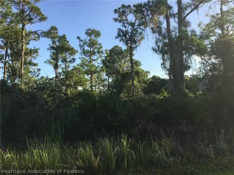 1908 Scarlet Sage Ter, Sebring, FL 33875 photo 4