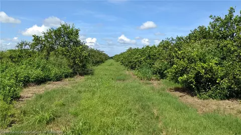 Crewsville Road, Zolfo Springs, FL 33890