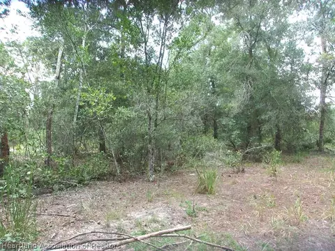 2389 N Monterey Rd, Avon Park, FL 33825