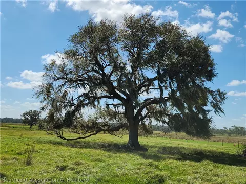1008 Cattle Ranch Rd, Venus, FL 33960 photo 1