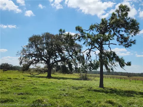 1008 Cattle Ranch Rd, Venus, FL 33960 photo 4