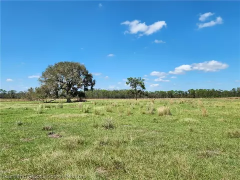 1008 Cattle Ranch Rd, Venus, FL 33960 photo 10