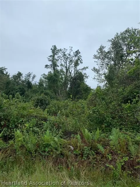 1508 Blackwillow St, Lake Placid, FL 33852