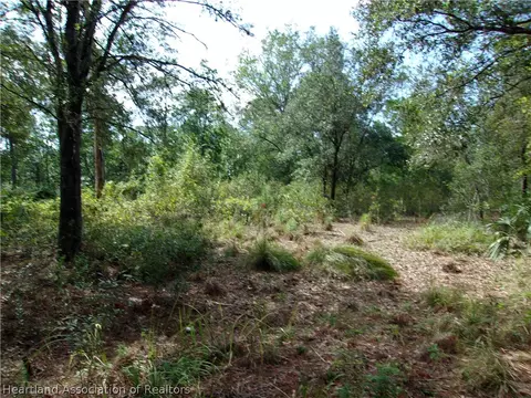 155 Persimmon Trl, Sebring, FL 33852 photo 9