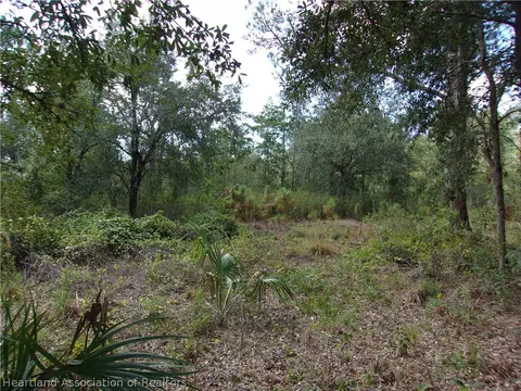 155 Persimmon Trl, Sebring, FL 33852 photo 3