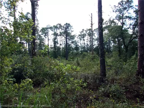 155 Persimmon Trl, Sebring, FL 33852 photo 7