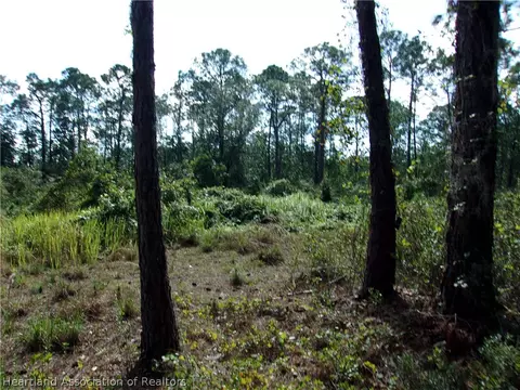 155 Persimmon Trl, Sebring, FL 33852 photo 8