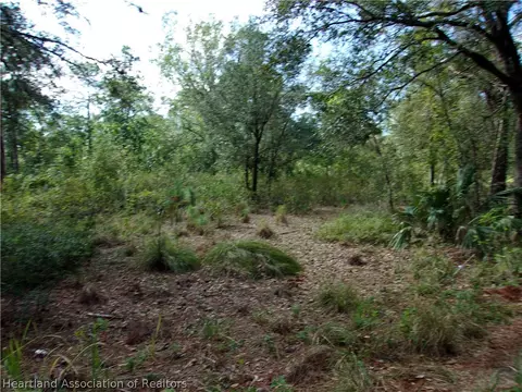 155 Persimmon Trl, Sebring, FL 33852 photo 10