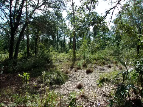 155 Persimmon Trl, Sebring, FL 33852 photo 4