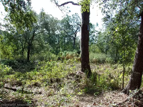 155 Persimmon Trl, Sebring, FL 33852 photo 6