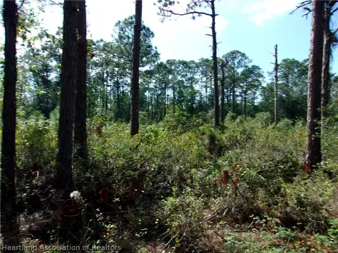 155 Persimmon Trl, Sebring, FL 33852 photo 5