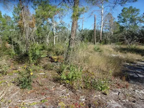 4235 Gerrard Ter, Sebring, FL 33875 photo 1