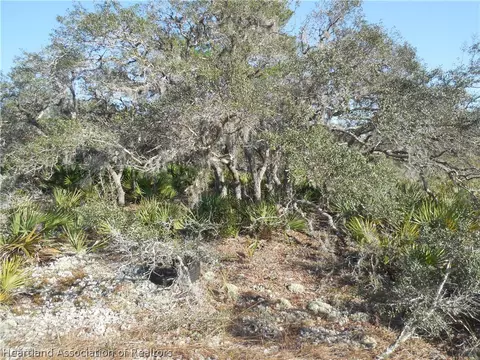 2968 N Nepera Rd, Avon Park, FL 33825